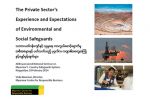 The Private Sector’s Experience and Expectations of Environmental and Social Safeguards