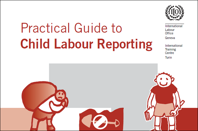 These Guidelines are meant as an additional tool, building upon the existing Report Form.