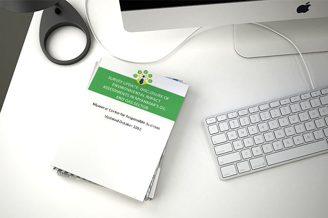 The Survey Update examines how many Environmental Impact Assessments (EIA) and Initial Environmental Examinations (IEE) have been disclosed.