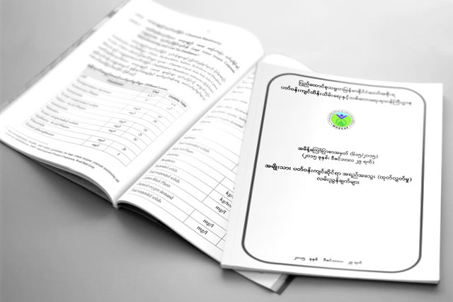 The first set of Myanmar National Environmental Quality Guidelines to regulate emissions in a number of sectors were released on 29 December 2015.