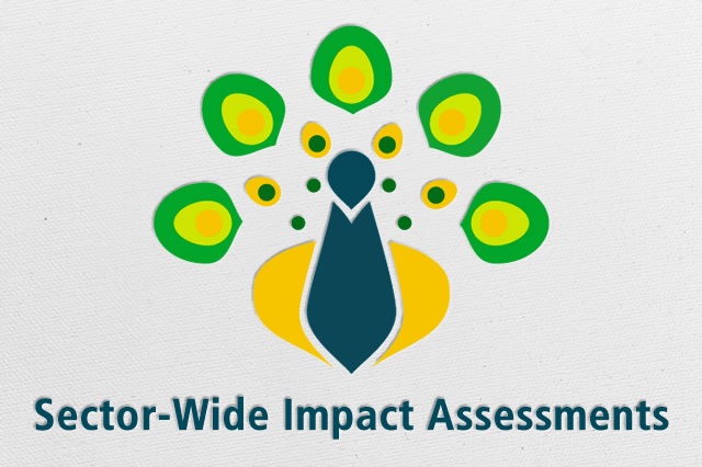 The workshop follows the publication in September 2014 of a sector-wide impact assessment (SWIA) of the oil and gas sector by MCRB.