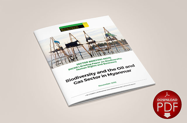 Biodiversity and the Oil and
Gas Sector in Myanmar